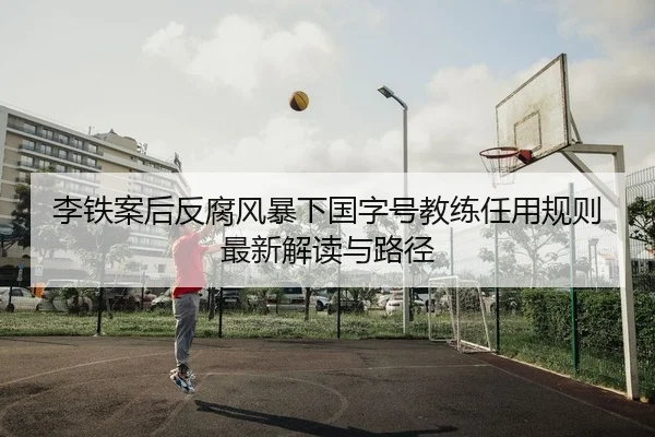 李铁案后反腐风暴下国字号教练任用规则最新解读与路径